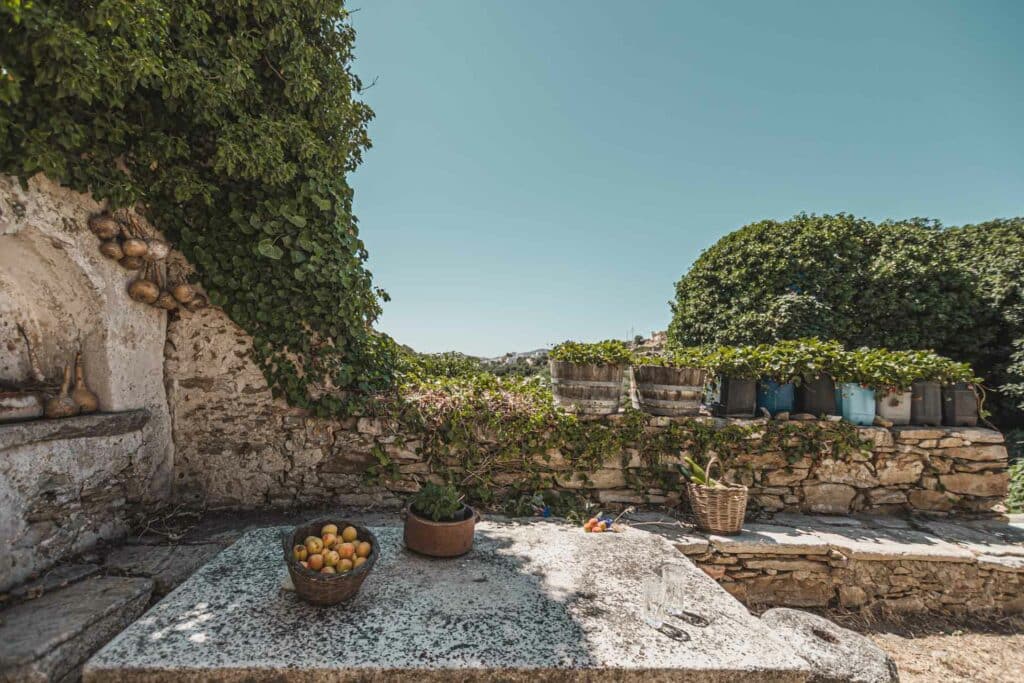 Our Yard svg+xml;charset=utf