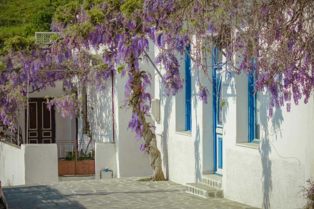 estia-food-tours-naxos-location-15 svg+xml;charset=utf