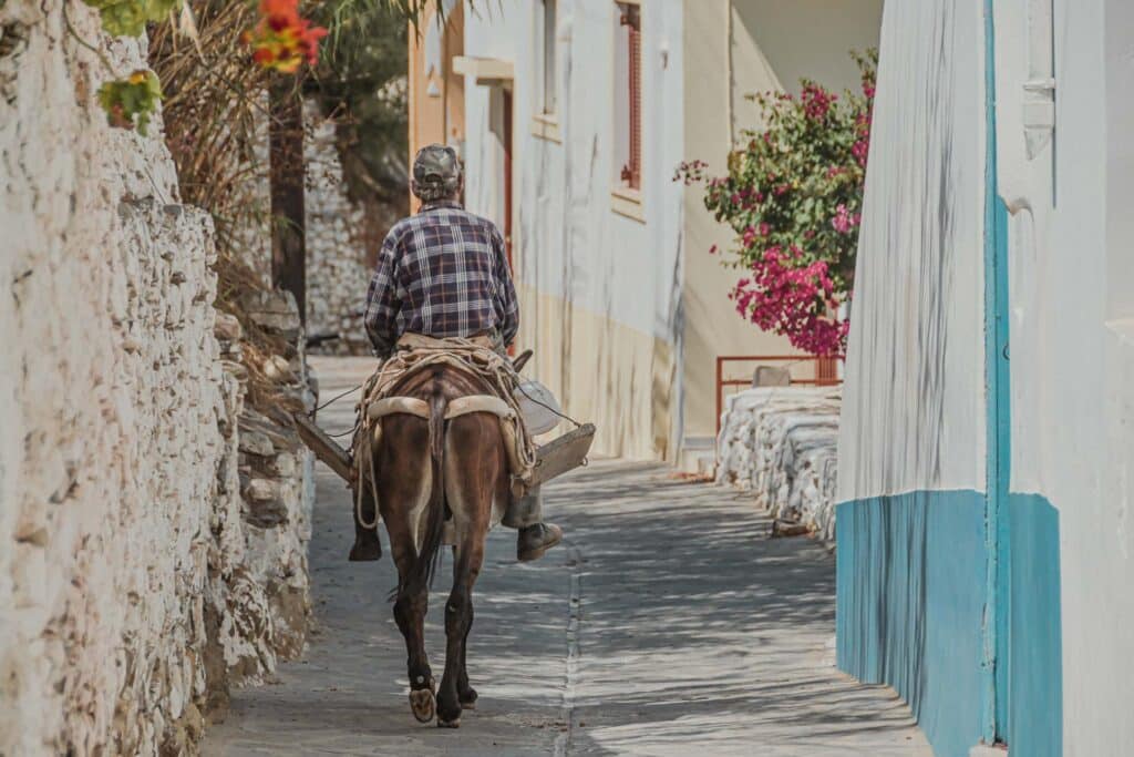 estia-food-tours-naxos-location-21 svg+xml;charset=utf