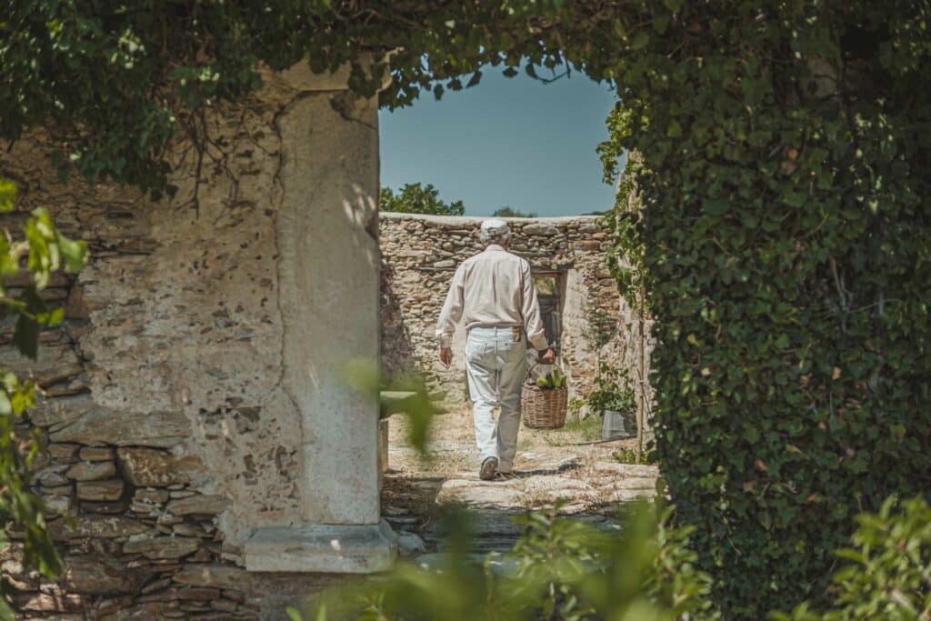 estia-food-tours-naxos-location-26 svg+xml;charset=utf