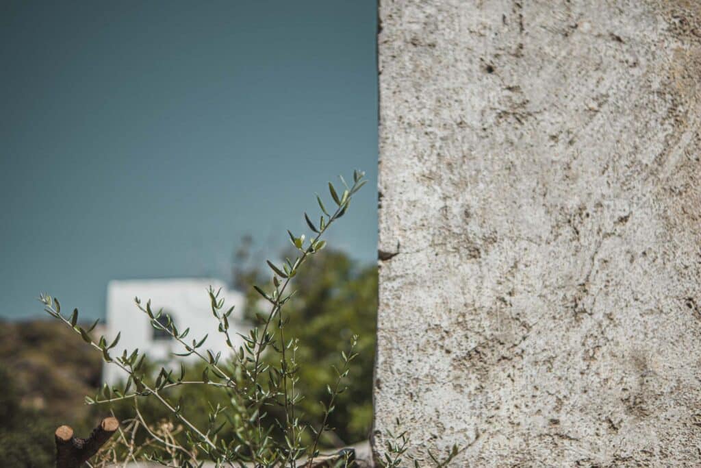 estia-food-tours-naxos-location-28 svg+xml;charset=utf