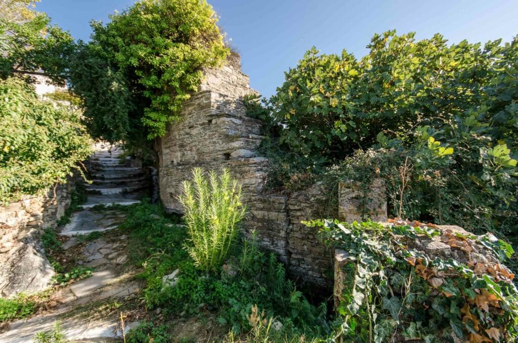 estia-food-tours-naxos-location-9 svg+xml;charset=utf